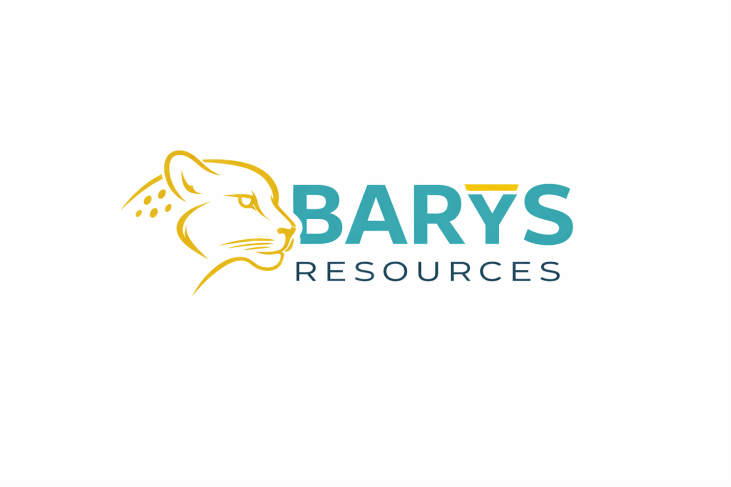 Barys Resources Limited